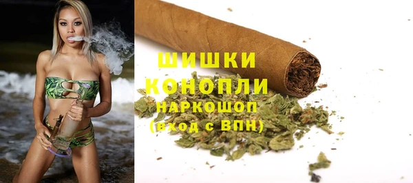 ПСИЛОЦИБИНОВЫЕ ГРИБЫ Белоозёрский