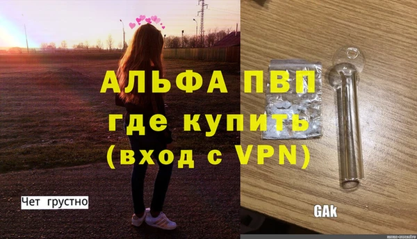 ПСИЛОЦИБИНОВЫЕ ГРИБЫ Покров