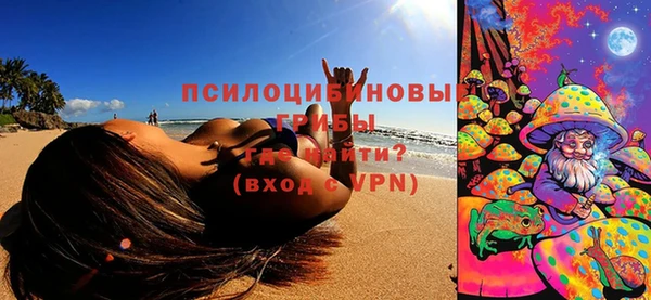 гидропоника Белокуриха