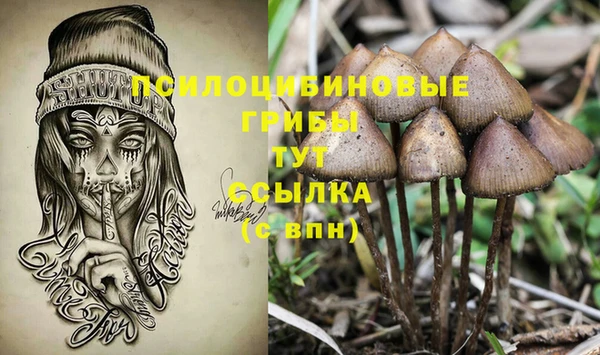 гидропоника Белокуриха