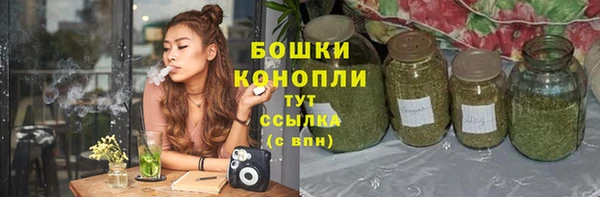 ПСИЛОЦИБИНОВЫЕ ГРИБЫ Белоозёрский